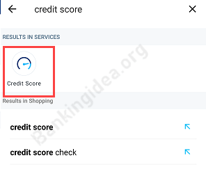 Paytm credit score