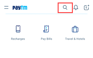 Paytm credit score