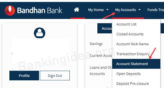 check bandhan bank statement
