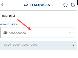 Indian Bank ATM PIN Online