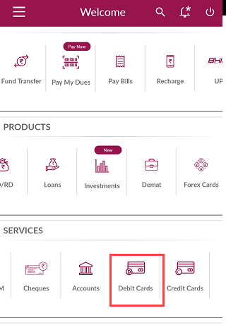 Axis Bank Debit Card international usage