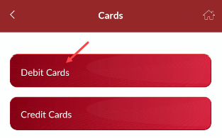 indusind mobile banking Debit Cards