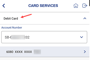 Check Indian Bank Debit Card Details Online