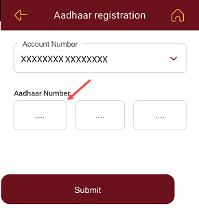 Punjab National Bank (PNB) account Aadhaar link status