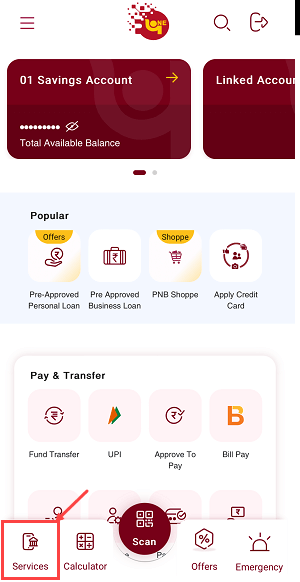 PNB Virtual debit card