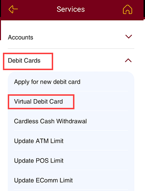 PNB Virtual debit card