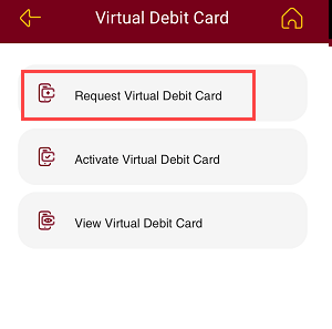 PNB Virtual debit card