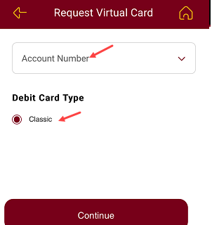 PNB Virtual debit card
