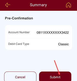PNB Virtual debit card
