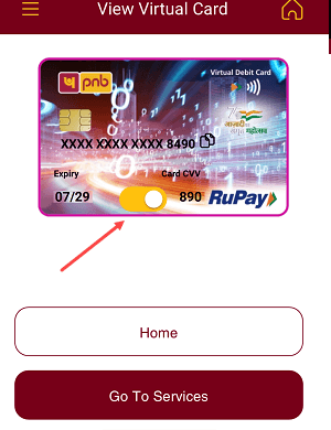 PNB Virtual debit card