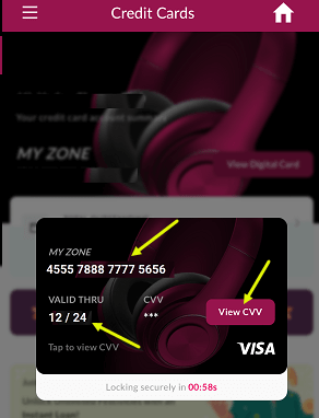 Check Axis Bank Credit card number, expiry cvv online