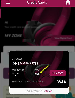 Check Axis Bank Credit card number, expiry cvv online