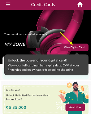 Check Axis Bank Credit card number, expiry cvv online