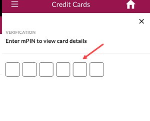 Check Axis Bank Credit card number, expiry cvv online