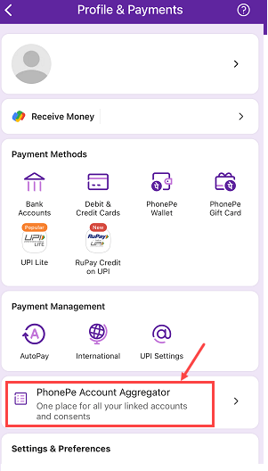 Check Bank Statement PhonePe