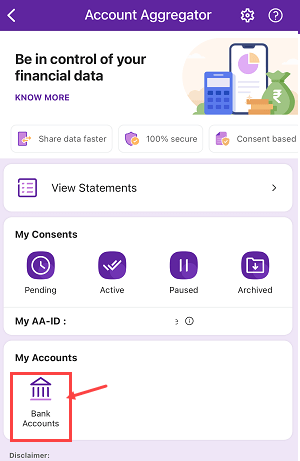 Check Bank Statement PhonePe
