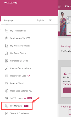 Approve IPO Mandate on Axis Pay App