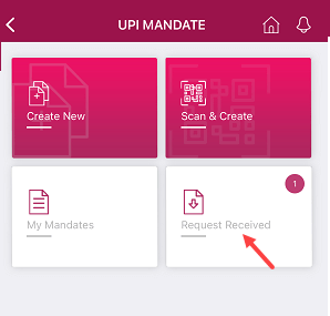 Approve IPO Mandate on Axis Pay App