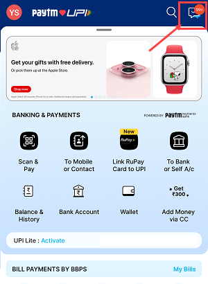 IPO Mandate Paytm