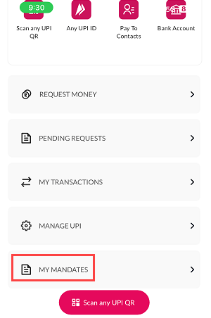 Axis mobile banking approve IPO mandate request 