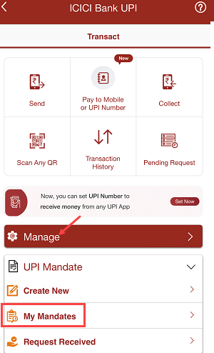 ICICI iMobile Pay Approve IPO mandate